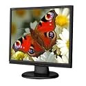 Nec ASLCD73VX-BK 17-Inch 1280X1024 LCD Monitor with DVI (Black)